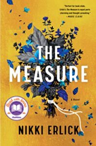 cover The Measure, by Nikki Erlick